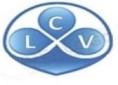 LCV MULTIPLE SERVICES SA DE CV