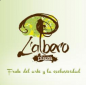 logo_LALBERO PLAZA (INMADE)