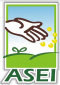 logo_ASEI