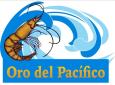 logo_ORO DEL PACIFICO, S.A.