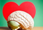 El amor modifica el cerebro