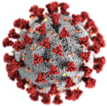 ¿Son los virus malos por naturaleza?